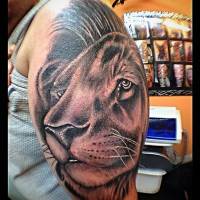 Tatuaje de una cabeza de león en el brazo