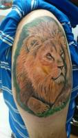 Tatuaje a color de un león en el brazo