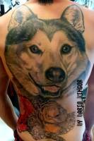 Tattoo de una cabeza de perro lobo en la espalda entera