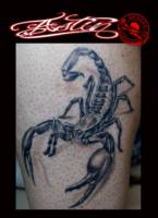 Tatuaje de un escorpión