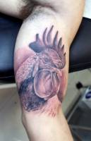 Tatuaje de un gallo detrás del brazo