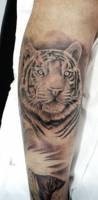 Tattoo en blanco y negro de un tigre