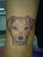 Tatuaje de un perro en el antebrazo