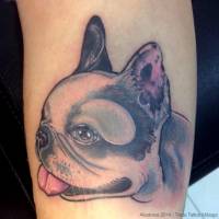 Tatuaje de una cara de perro