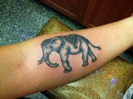 Tatuaje de un elefante en el antebrazo