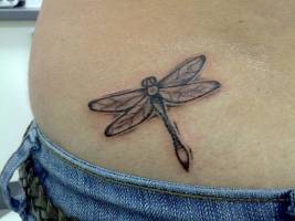 Tatuaje de una libélula en la cintura