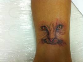 Tatuaje de una cara de gato