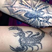 Tatuaje de una tarantula y un escorpión