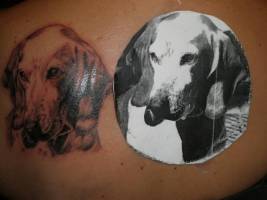 Tattoo retrato de un perro