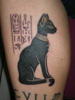 Gato egipcio tatuado, con algunos símbolos