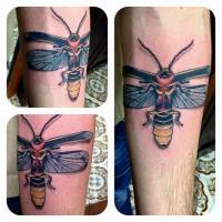 Tatuaje de un insecto a color