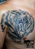 Tatuaje en el pecho de un hombre de un tigre rugiendo