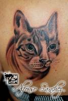 Tatuaje de un gato retratado