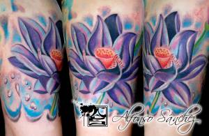 Tatuaje de un loto en color, saliendo del agua