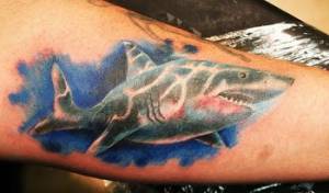 Tatuaje de un tiburón nadando a color en el brazo