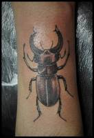 Tatuaje de un escarabajo en blanco y negro