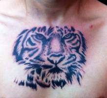 Tattoo de una cara de tigre debajo del cuello de un hombre
