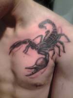 Tattoo blanco y negro de un escorpión en el pecho de un hombre