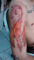 Tattoo de un ave fénix de fuego 