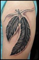 Tatuaje de un par de plumas atadas