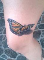 Tattoo de una mariposa volando, con su sombra