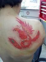 Tattoo de un pájaro fénix en la espalda
