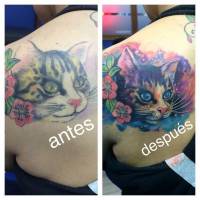 Cover Tattoo de un gato