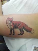 Tatuaje de un zorro