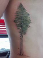 Tattoo de un árbol muy alto