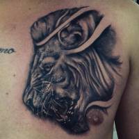 Tattoo de un realista león en el pecho