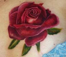 Tattoo de una rosa en color