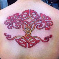 Tattoo celta a color en la espalda